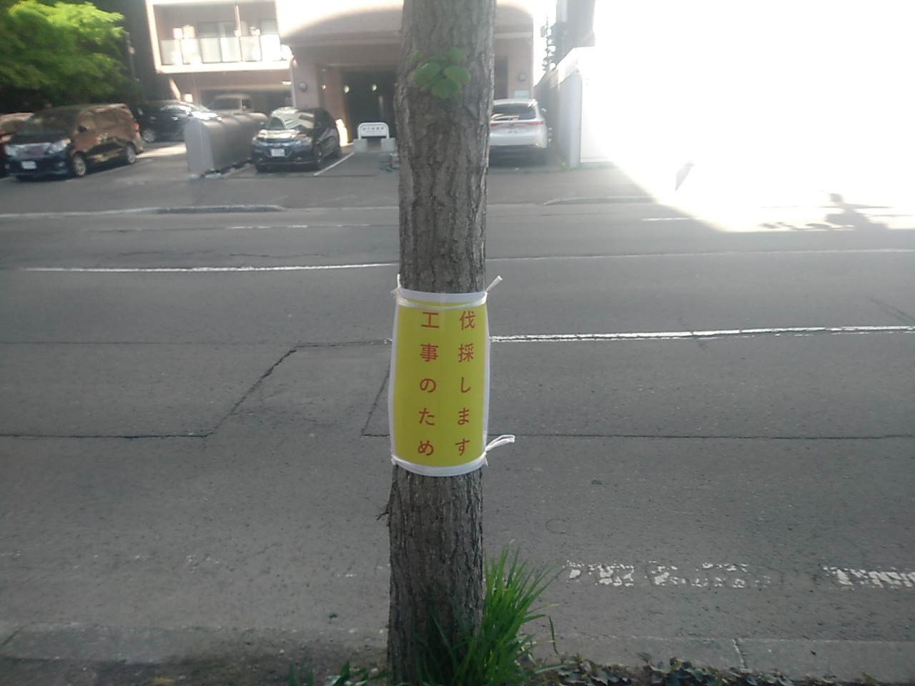 ファイル 653-1.jpg